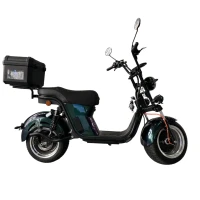 Электроскутер Skyboard Ural 2WD LiFePo4